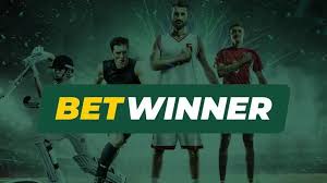 Download the Latest BetWinner APK for Betting Convenience