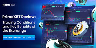Enhancing Your Trading Experience with the PrimeXBT Telegram Bot