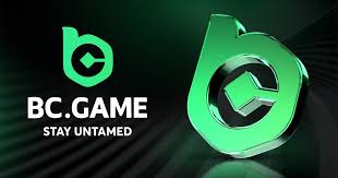 Experience the Thrill of Betting with BC.Game