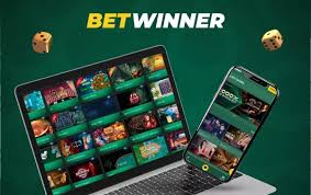 بيانات شاملة حول Betwinner أفضل منصة للمراهنات الرياضية في مصر