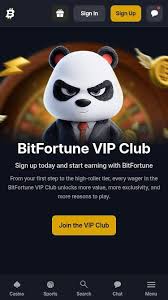 Discover the Best Live Tables at Bitfortune Casino -1244189637