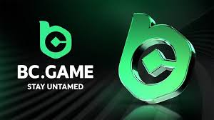 Understanding and Resolving BCGame.vc Login Problems