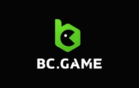 Discover the Exciting Features of the BC.Game Mobile App