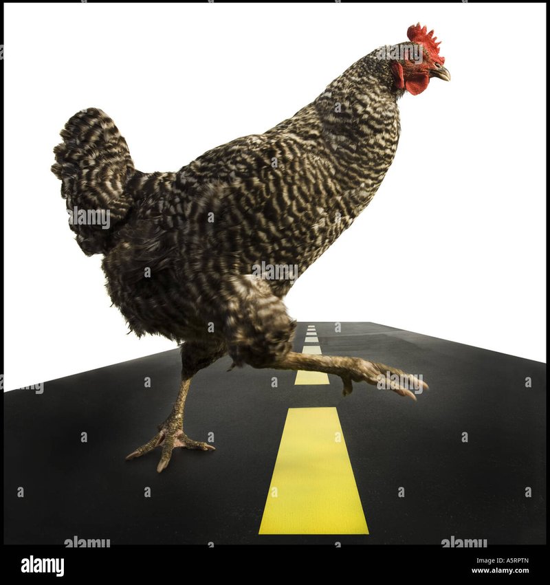 Chicken road españa in Spain