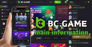 The Ultimate Guide to BC.Game Casino Platform 670510551