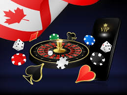 Best Online Live Casino in Canada – Your Ultimate Guide
